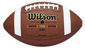 Balón Wilson TDS piel sintética